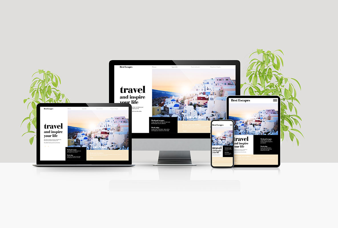 Web Development